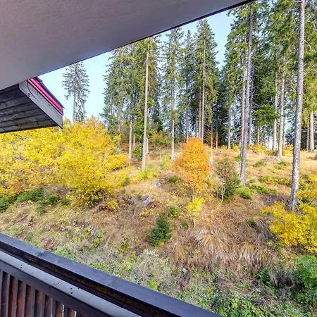 Alpine Escape At Dream View * パンポロボ